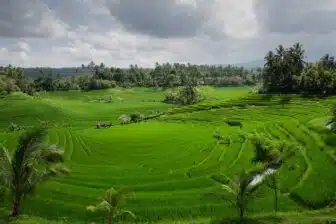 Bali et les volcans de Java – Image 4