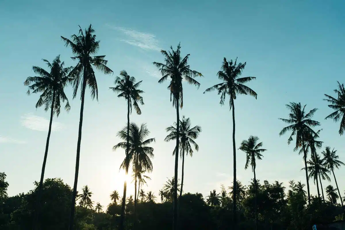 Circuit Bali & Îles Gili en Famille – Image 4