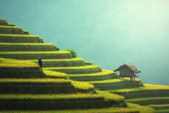 Circuit Bien être et découvertes entre Bali et Nusa Penida – Image 12