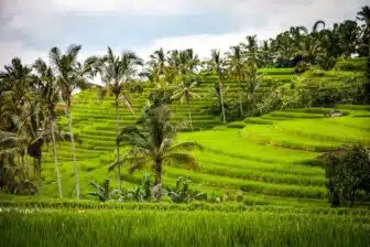 Circuit Bien être et découvertes entre Bali et Nusa Penida – Image 9