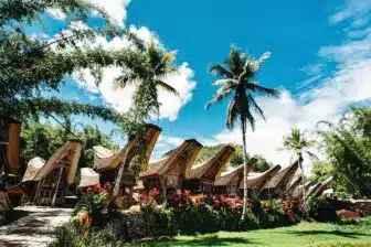 Java-Bali-Sulawesi – Image 10