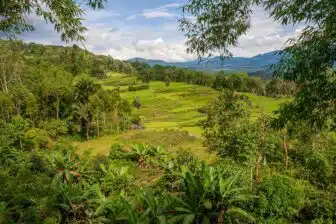 Java-Bali-Sulawesi – Image 8