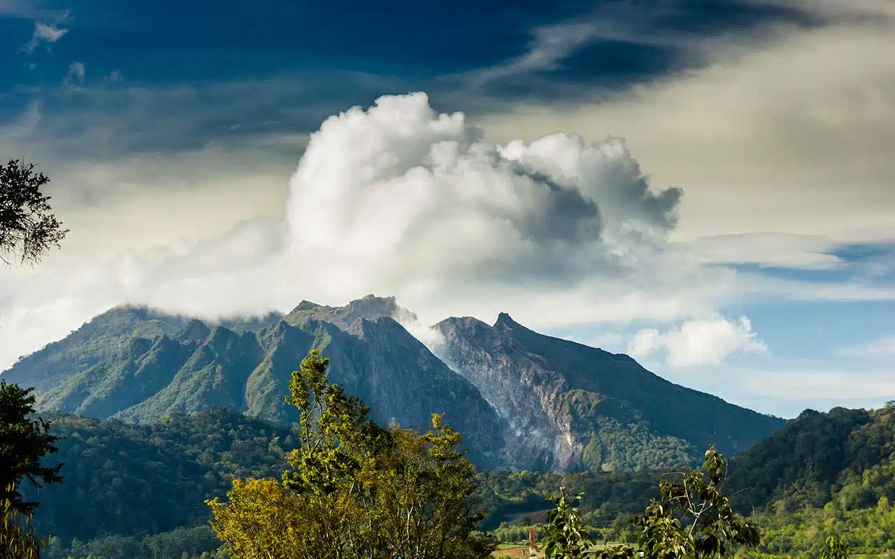 Circuit Lac de Toba et Bukit Lawang – Image 4