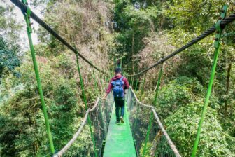 Circuit Trekking dans la jungle de Bukit Lawang