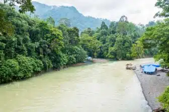 Circuit Bukit Lawang & éléphants de Tangkahan – Image 8