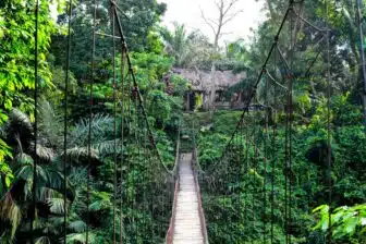 Circuit Bukit Lawang & éléphants de Tangkahan – Image 6