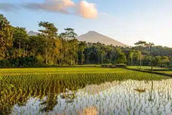 Circuit Lombok Tour