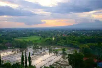 Circuit Java & Bali en Famille – Image 5