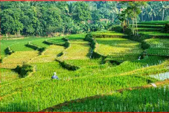 Immersion à BALI - Entre yoga, bien être & découvertes – Image 18