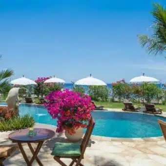Palm Garden Amed